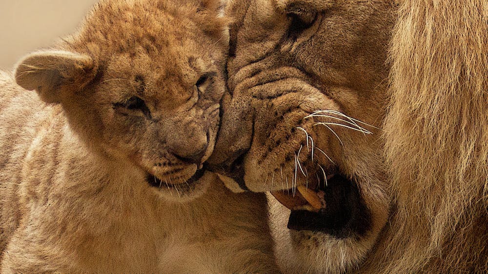 Lion